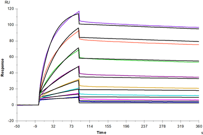 4-1BB Ligand/TNFSF9 His Tag Protein, Rat