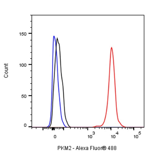 PKM2 Rabbit Polyclonal antibody