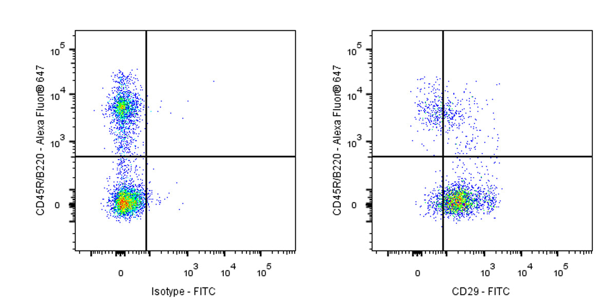 FITC Armenian hamster Anti-Mouse/Rat CD29 Antibody (HMB1-1)