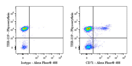 Invivo anti-Mouse CD71 (TfR1) Recombinant mAb