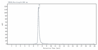 E2/Envelope2 GST&His Tag Protein, Chikungunya virus CHIKV