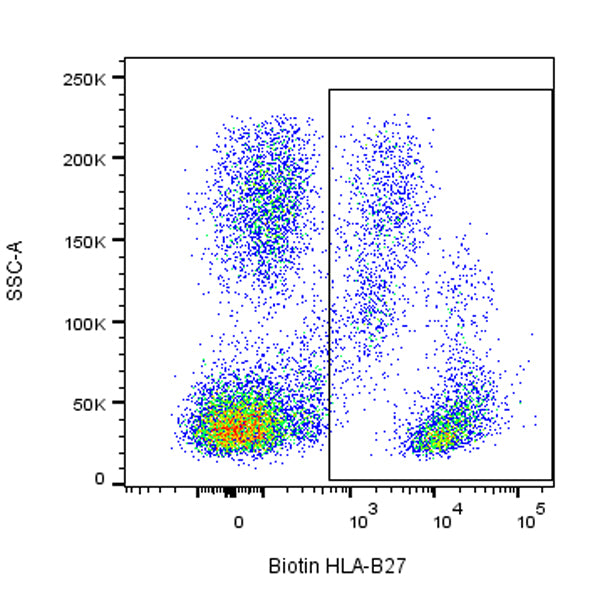 Biotin Mouse Anti-Human HLA-B27 Antibody (HLA-ABC-m3)