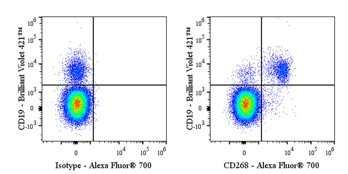 Alexa Fluor® 700 Mouse Anti-Human CD268 (BAFF Receptor) Antibody (11C1)