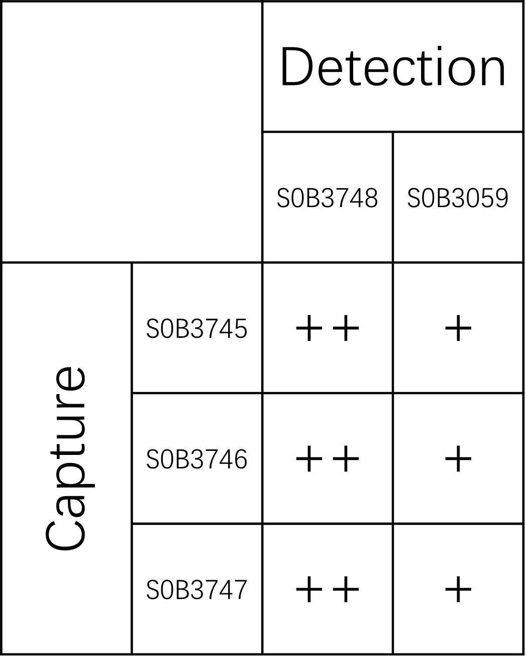 Tau (phospho T181) Recombinant Rabbit mAb (SDT-175-110)