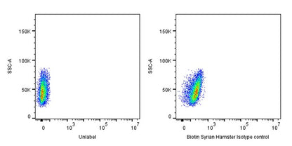 Biotin Syrian Hamster Isotype control