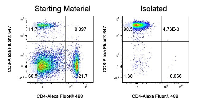 Mouse CD8 T Cell Isolation Kit (Column-Based)