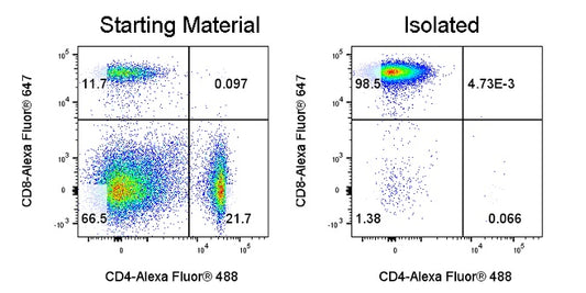 Mouse CD8 T Cell Isolation Kit (Column-Based)