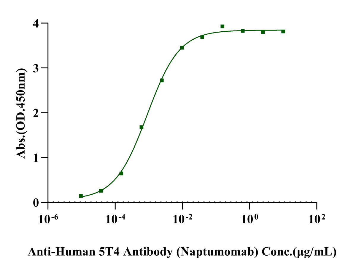 Biotinylated TPBG/5T4 His&Avi Tag Protein, Human