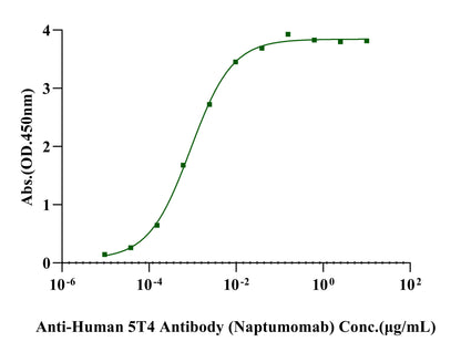 Biotinylated TPBG/5T4 His&Avi Tag Protein, Human