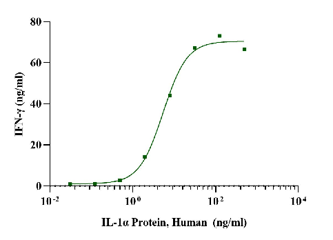 IL-1α Protein, Human