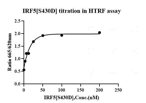IRF5[S430D] Avi&CBD Tag Protein, Human