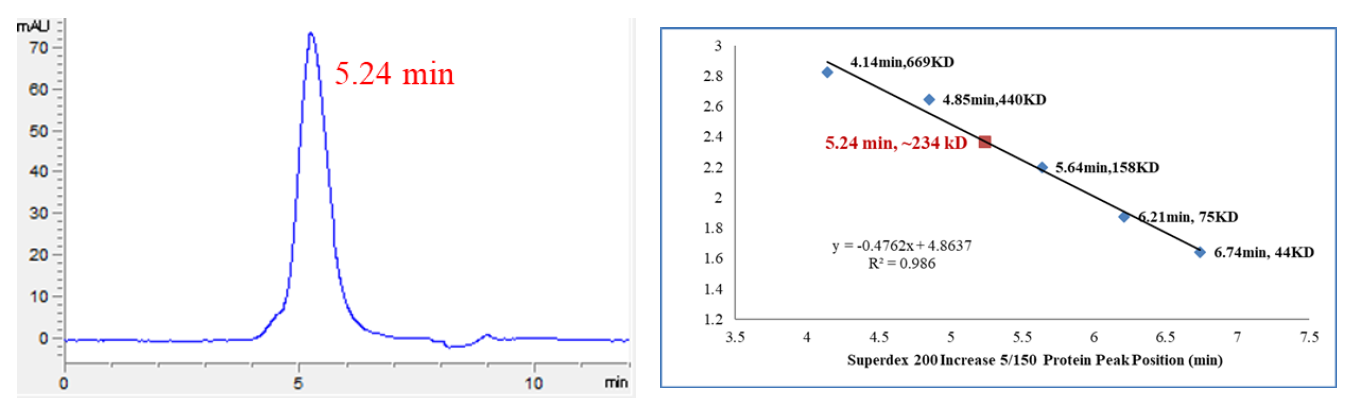 CDK5/p25 Protein