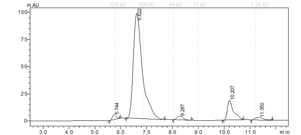 EPHA3 Protein