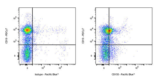 Pacific Blue Rat Anti-Mouse CD150 Antibody (S-R738)