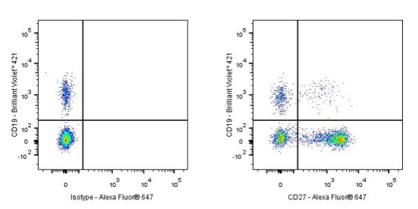 Alexa Fluor® 647 Armenian hamster Anti-Mouse/Rat/Human CD27 Antibody (S-R620)