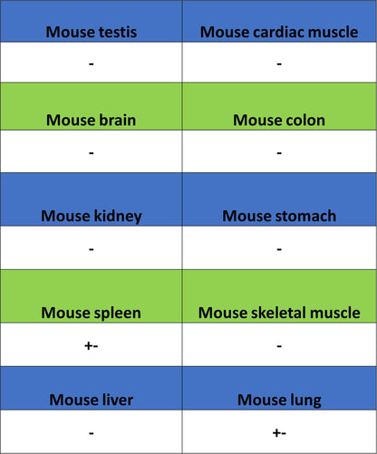 PD-L1 Recombinant Rabbit mAb (S-5311)