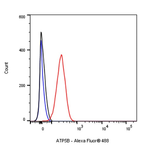 ATP5B Recombinant Rabbit mAb (S-1271-29)