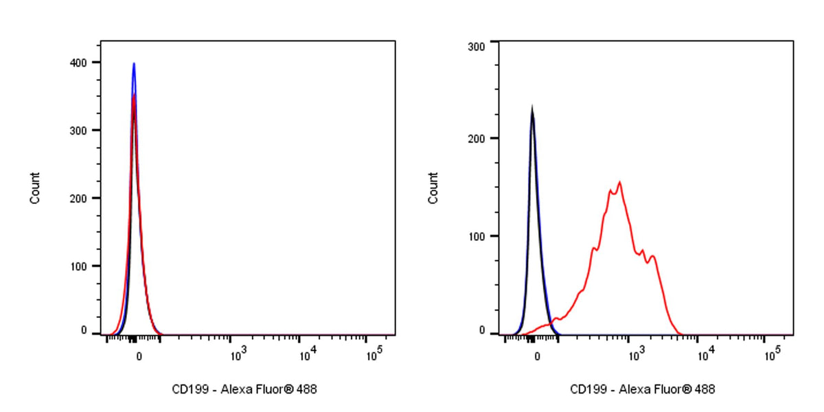 Mouse Anti-Human CD199 Antibody (S-3012)