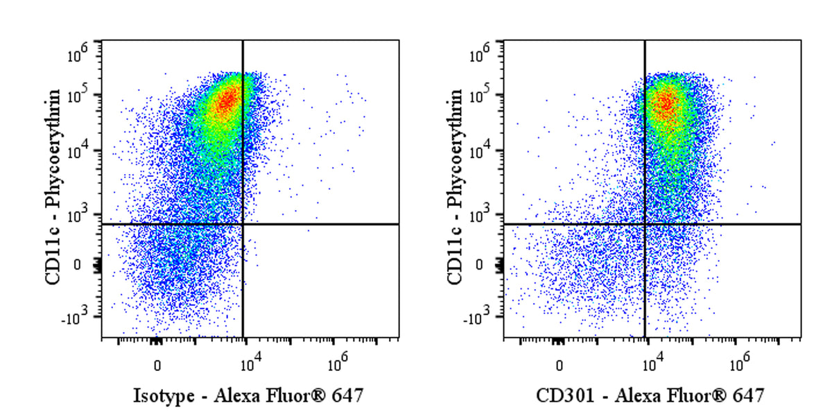 Rat Anti-Mouse CD301 Antibody (S-R708)