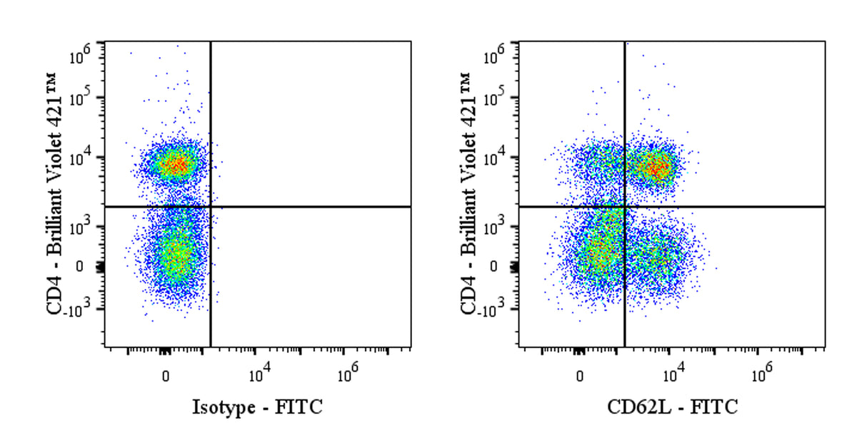 FITC Mouse Anti-Human CD62L Antibody (S-4130)