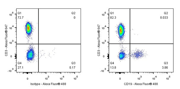 CD19 Mouse mAb (S-1039-46)