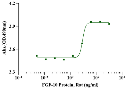 FGF-10 Protein, Rat