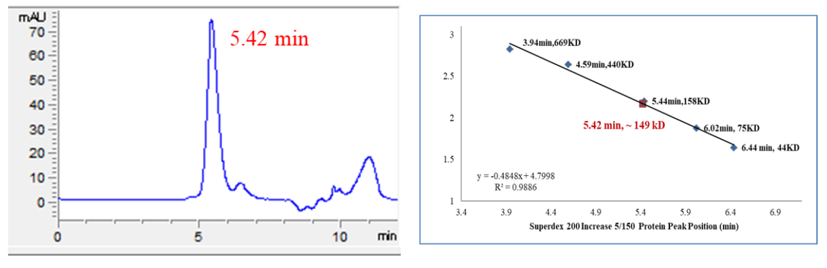 HIPK3 GST Tag Protein, Human