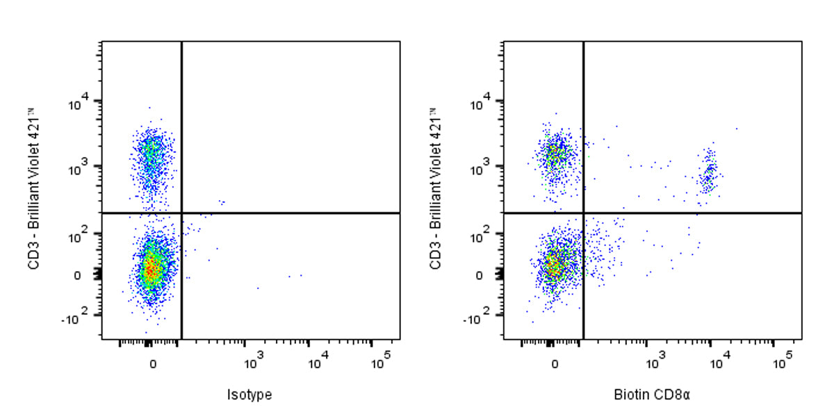 Biotin Rat Anti-Mouse CD8α Antibody (2.43)