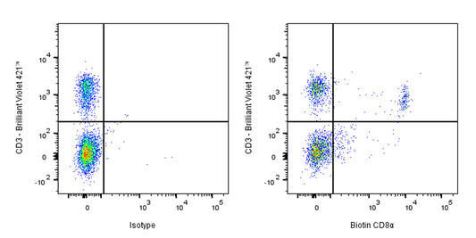 Biotin Rat Anti-Mouse CD8α Antibody (2.43)