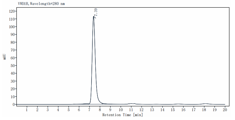 CD27 Ligand/CD70 Fc&His Tag Trimer design Protein, Human