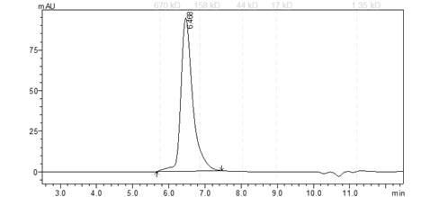 LCK Protein