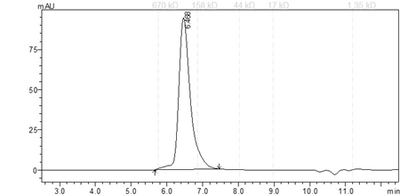 LCK Protein