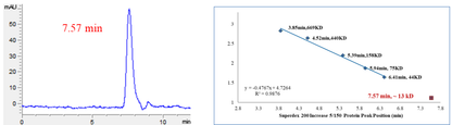 MDM2 Protein