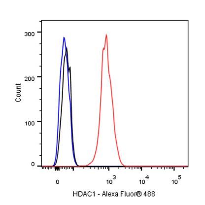 HDAC1 Recombinant Rabbit mAb (SDT-310-72)