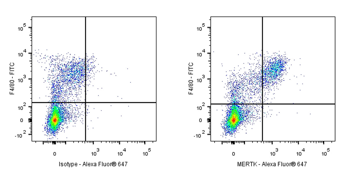 Rat Anti-Mouse MERTK Antibody (S-R603)