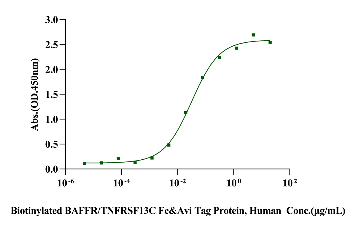 BAFF&APRIL Heterotrimer His Tag Protein, Human
