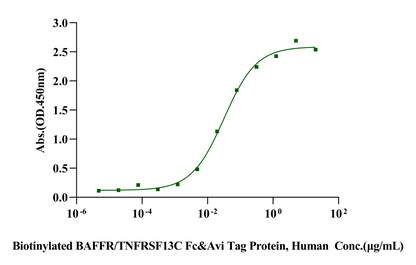 BAFF&APRIL Heterotrimer His Tag Protein, Human