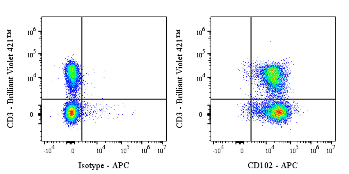 APC Rat Anti-Mouse CD102 Antibody (3C4)