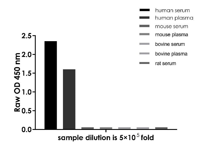 Human IgG (Total) OneStep ELISA Kit