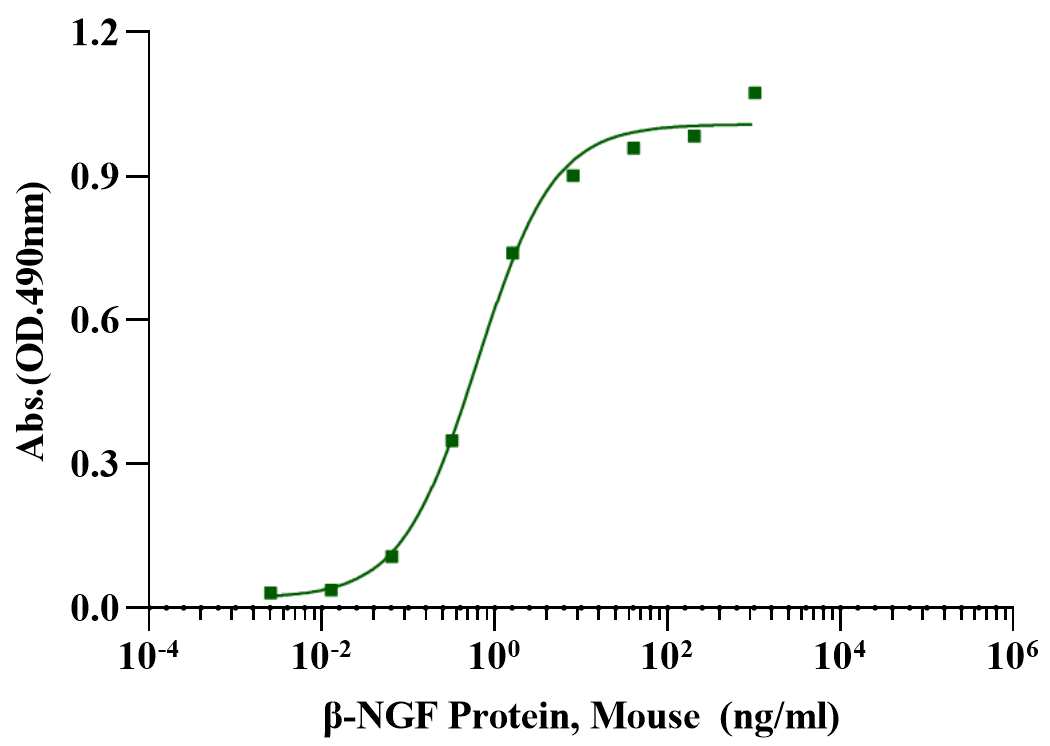 β-NGF Protein, Mouse