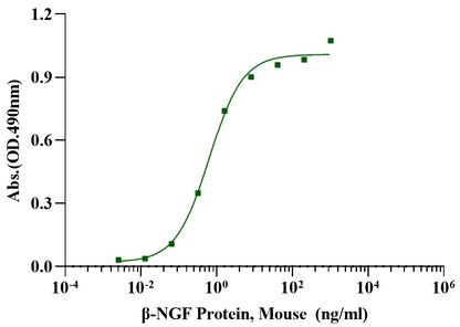 β-NGF Protein, Mouse