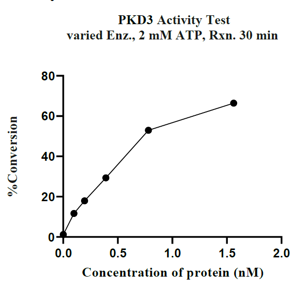 PRKD3(PKD3) GST Tag Protein, Human