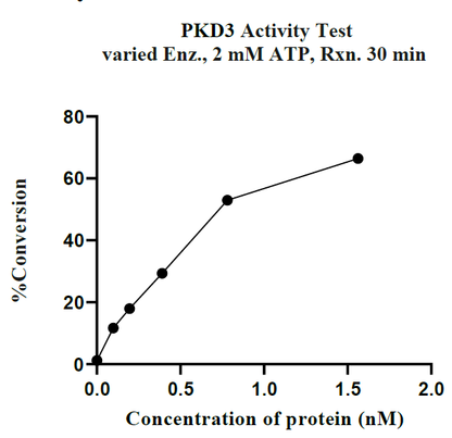 PRKD3(PKD3) GST Tag Protein, Human