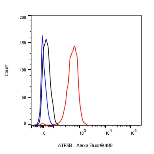 ATP5B Recombinant Rabbit mAb (S-1271-29)