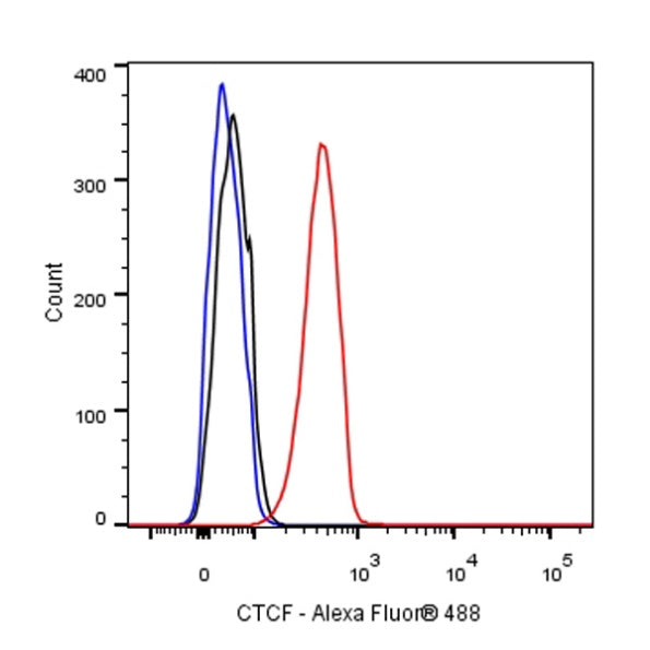 CTCF Recombinant Rabbit mAb (S-924-14)