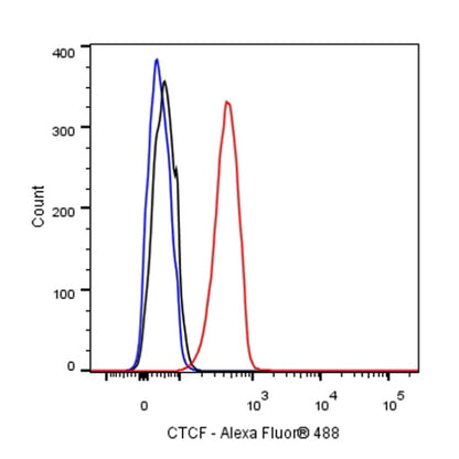 CTCF Recombinant Rabbit mAb (S-924-14)