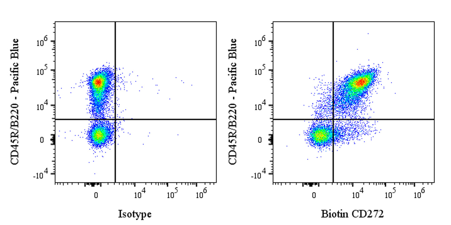 Biotin Armenian Hamster Anti-Mouse CD272 Antibody (6A6)