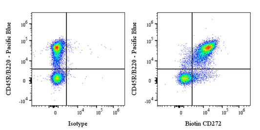Biotin Armenian Hamster Anti-Mouse CD272 Antibody (6A6)