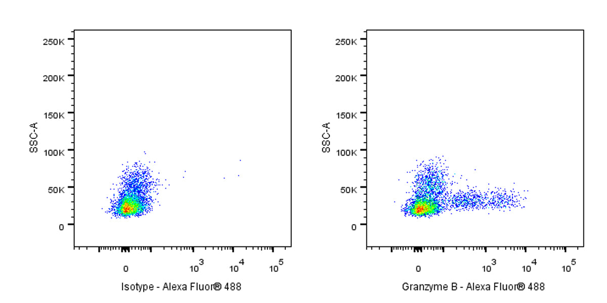 Mouse Anti-Human/Mouse Granzyme B Antibody (S-2865)