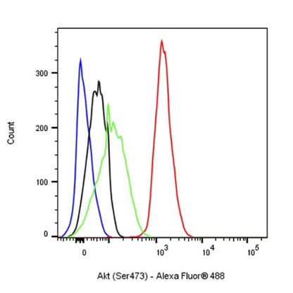 Phospho-Akt (Ser473) Recombinant Rabbit mAb (S-622-64)